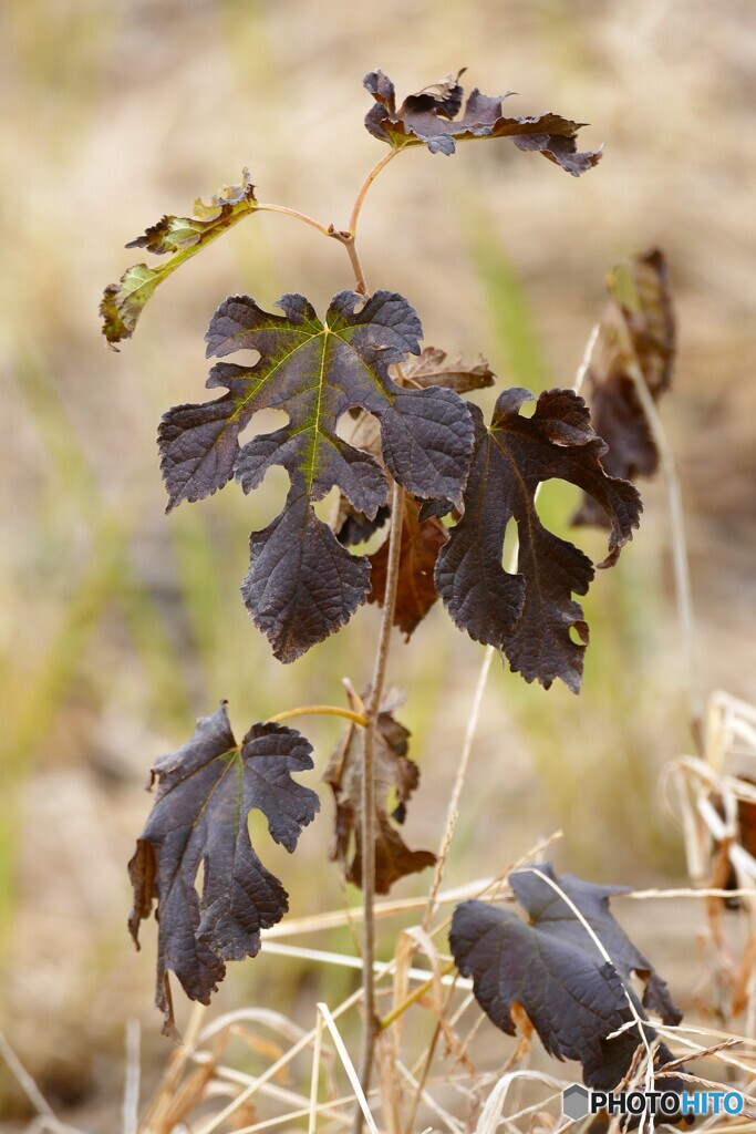 日々耐えながら