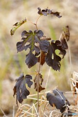 日々耐えながら