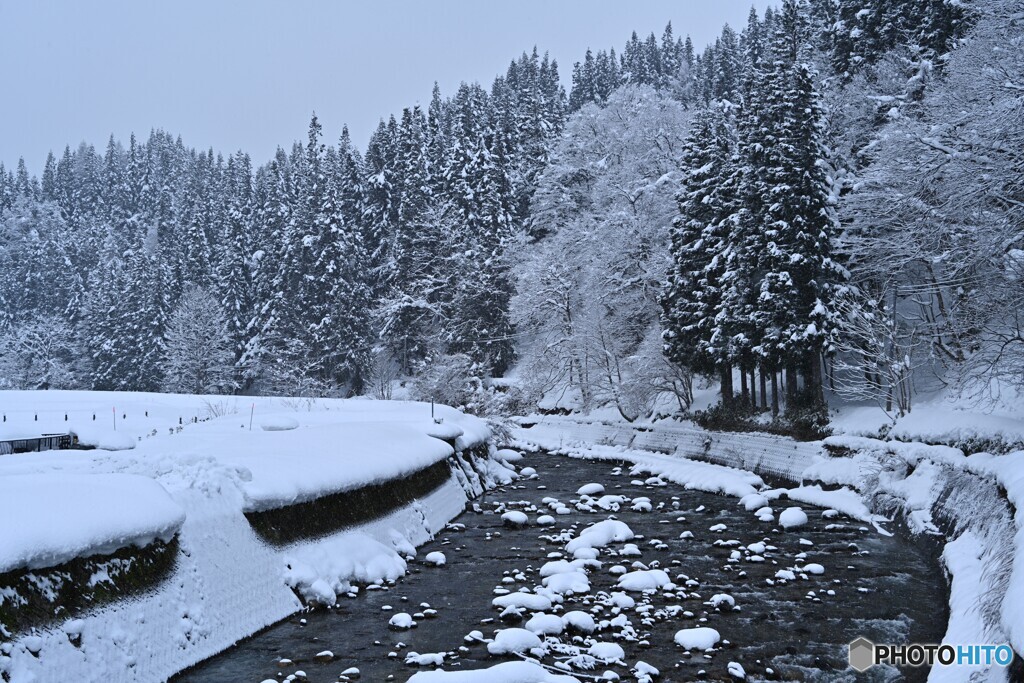 山里の厳冬