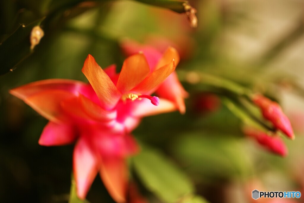 長～い春