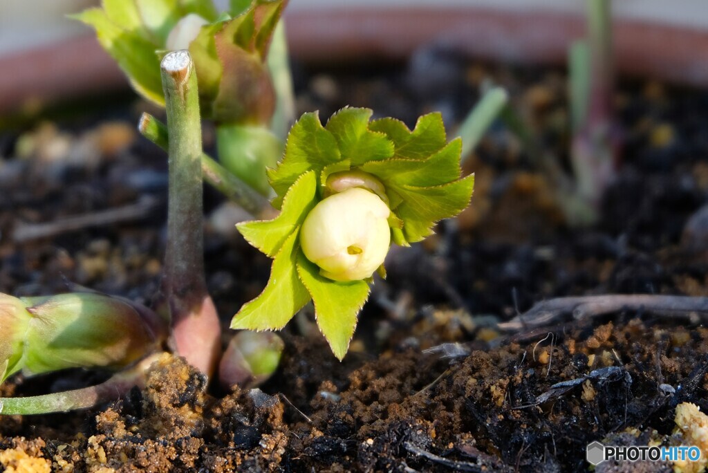 温くもりに誘われて
