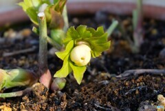 温くもりに誘われて