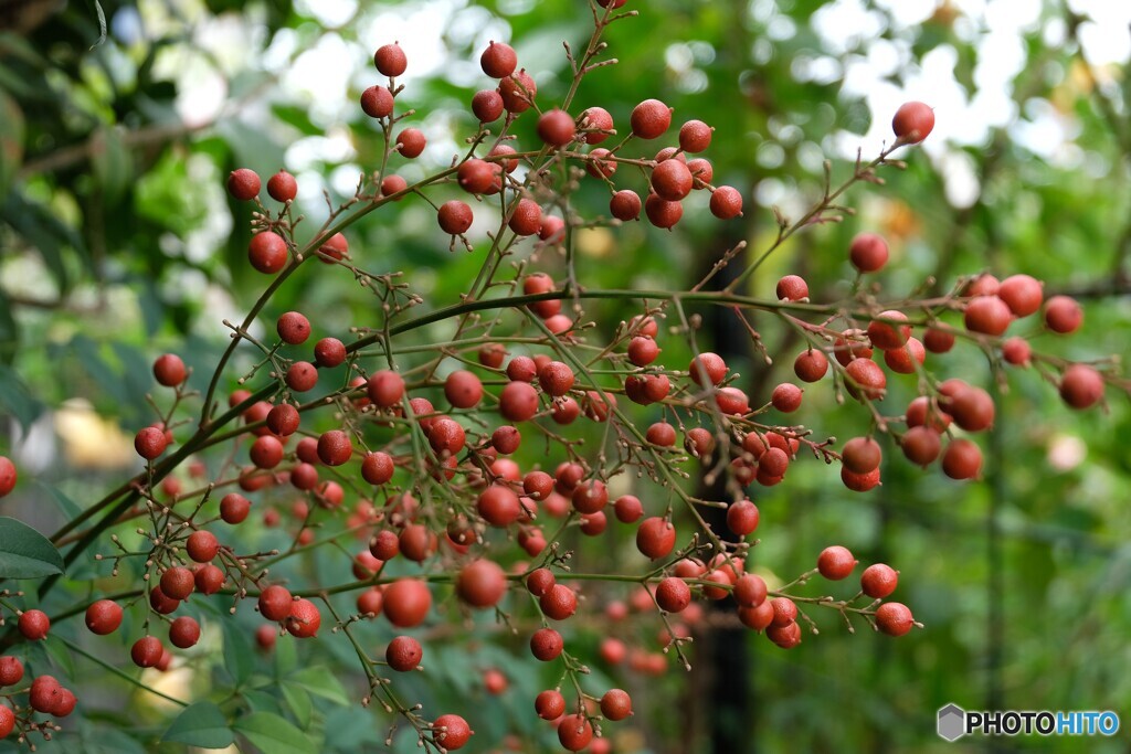 多くの難を転じて