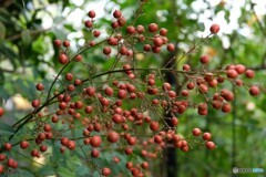 多くの難を転じて