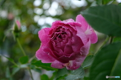 もう少し頑張ろう