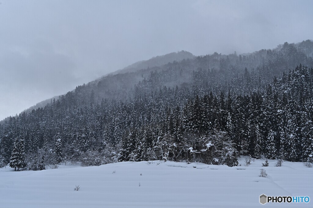 小雪舞う山里