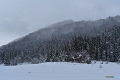 小雪舞う山里