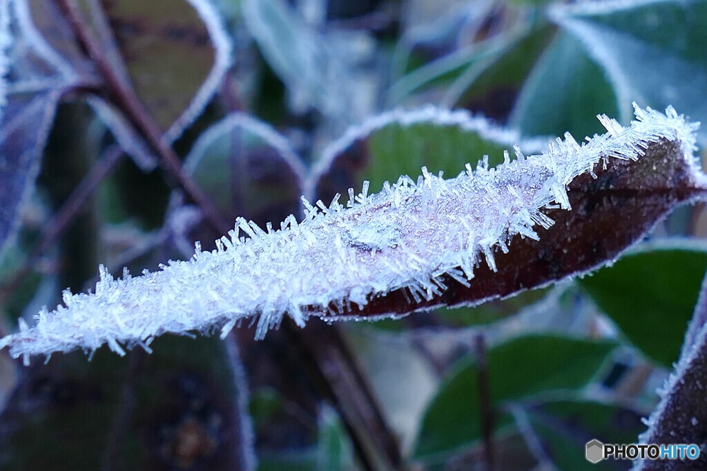 冷たいチクチク
