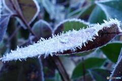 冷たいチクチク