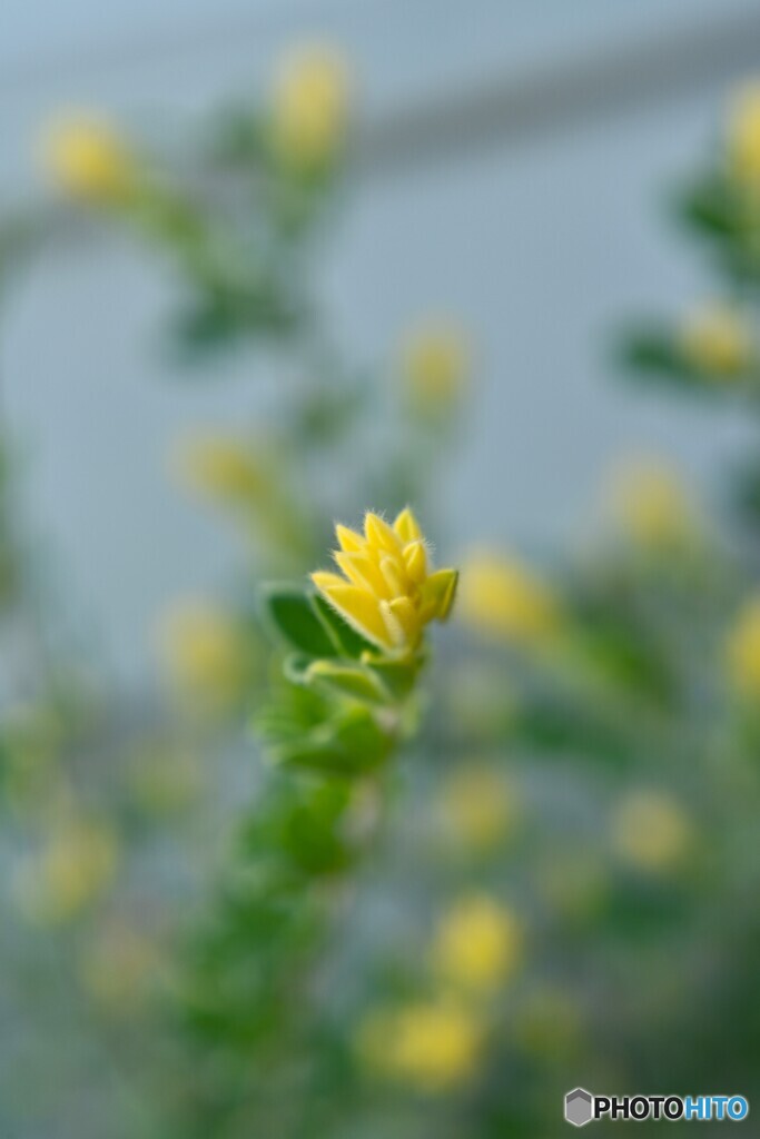 温もり