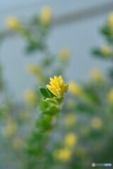温もり