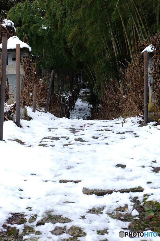 雪の参道