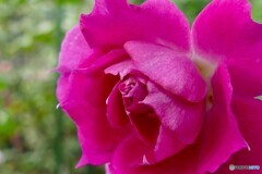 近付く寒い季節