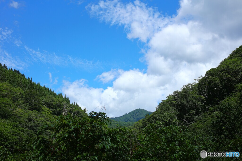 峠の夏空