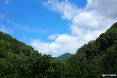 峠の夏空