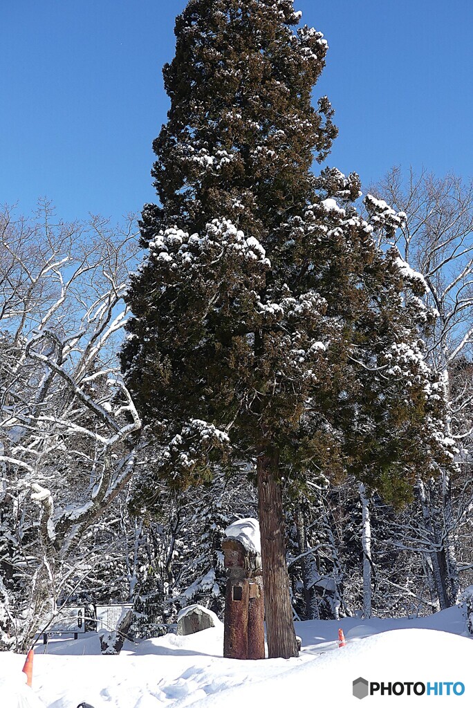 古の石鳥居