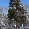 古の石鳥居