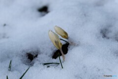 支え合いながら