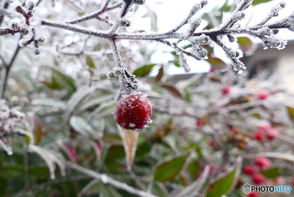 芯まで冷えて