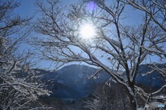 冬晴れ
