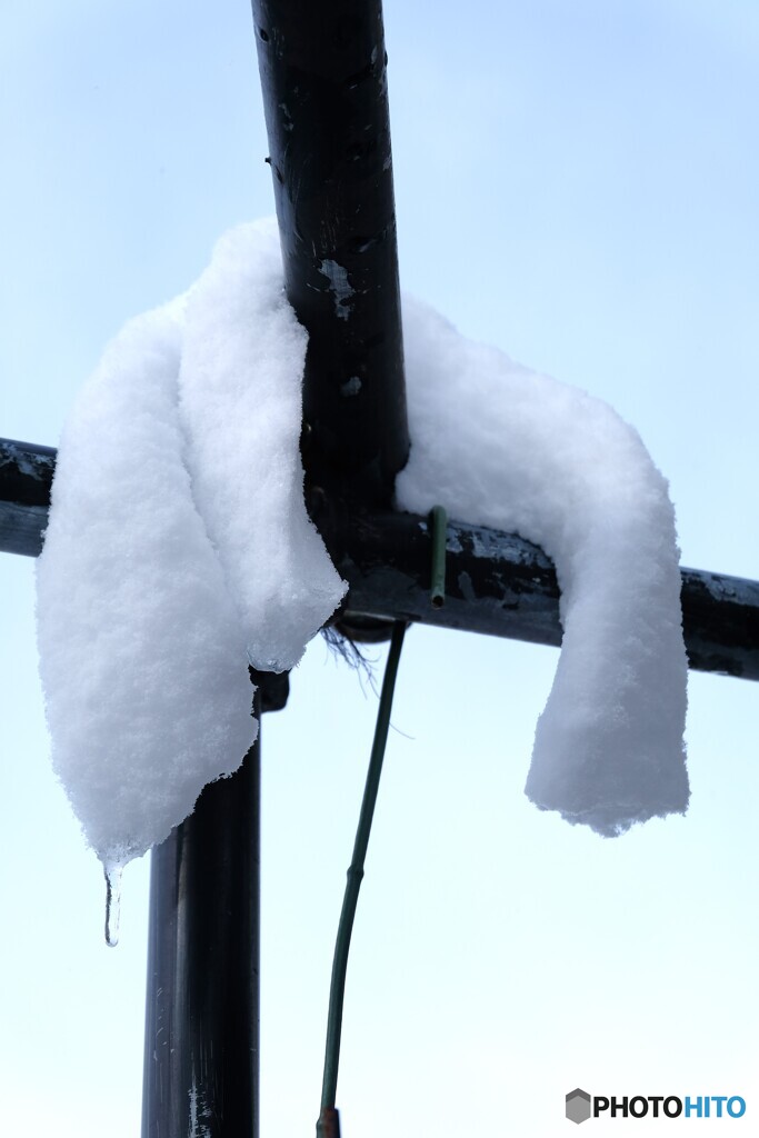 タオル忘れた？