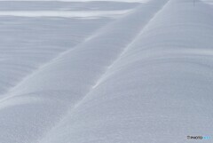 田圃雪景色