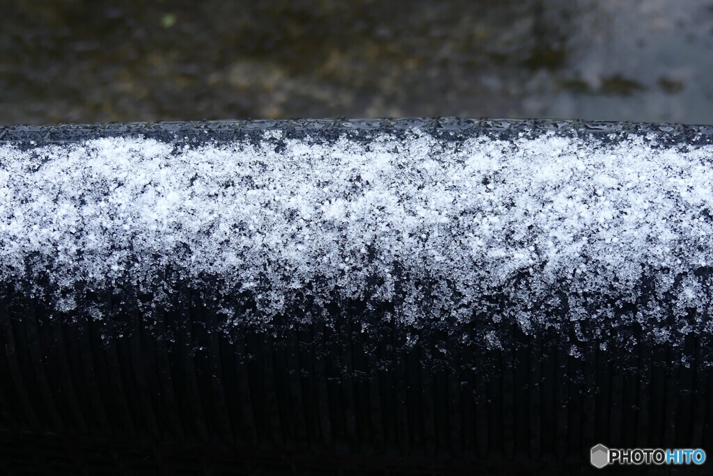 淡い初雪