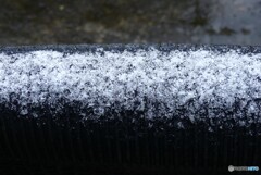 淡い初雪