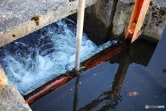 涼　小さな小さな水門