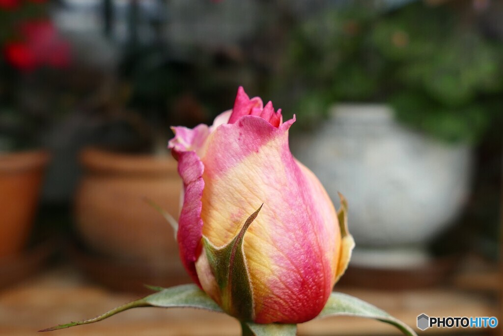 急いで開かないと