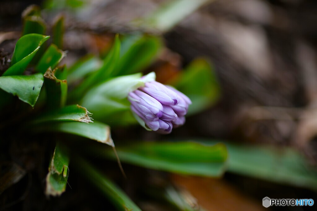 ようやくお目覚め
