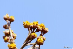 もう少し待ってね