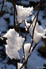 雪飾り