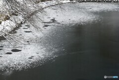 水面の薄化粧