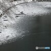 水面の薄化粧