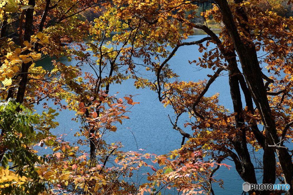 水色キャンバス