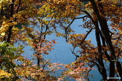 水色キャンバス