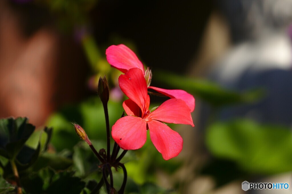 日に日に寒さが