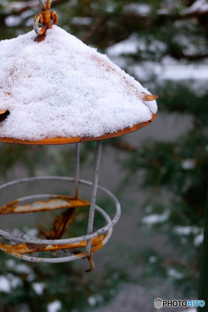 朽ち果てたサンクチュアリ