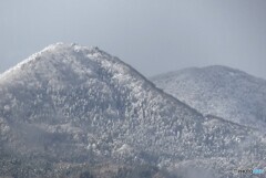 雪化粧