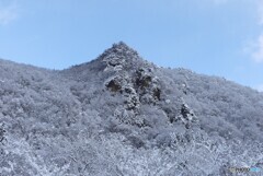 寒風の中で