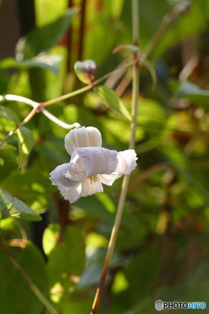 最後の最後まで