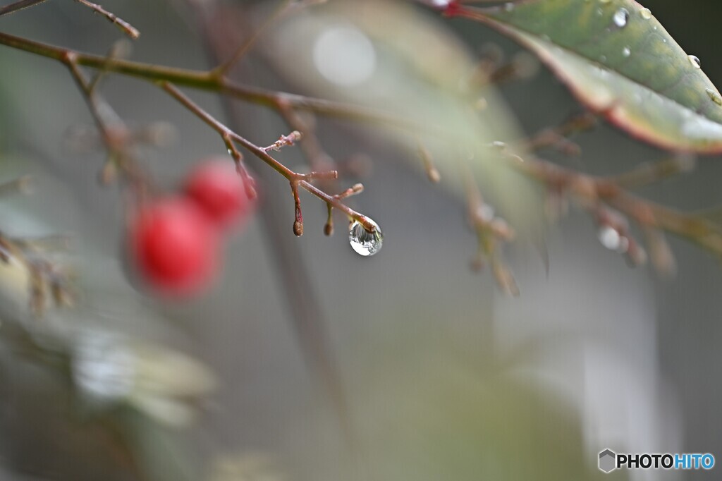 解氷