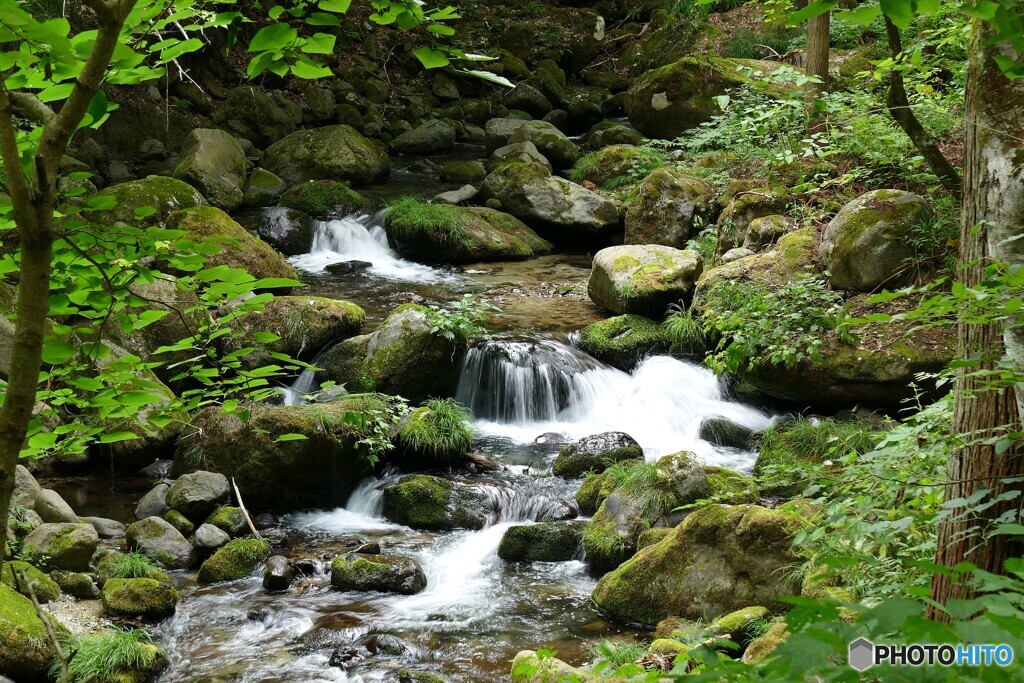 涼しさ全開