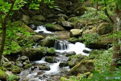 涼しさ全開