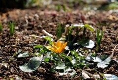 温さに誘われて