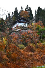 山里の白壁