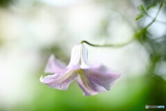 溢れる優しさ