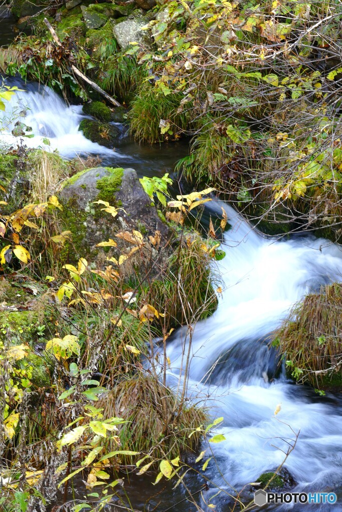 段々大きな流れに