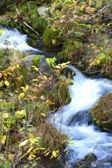 段々大きな流れに